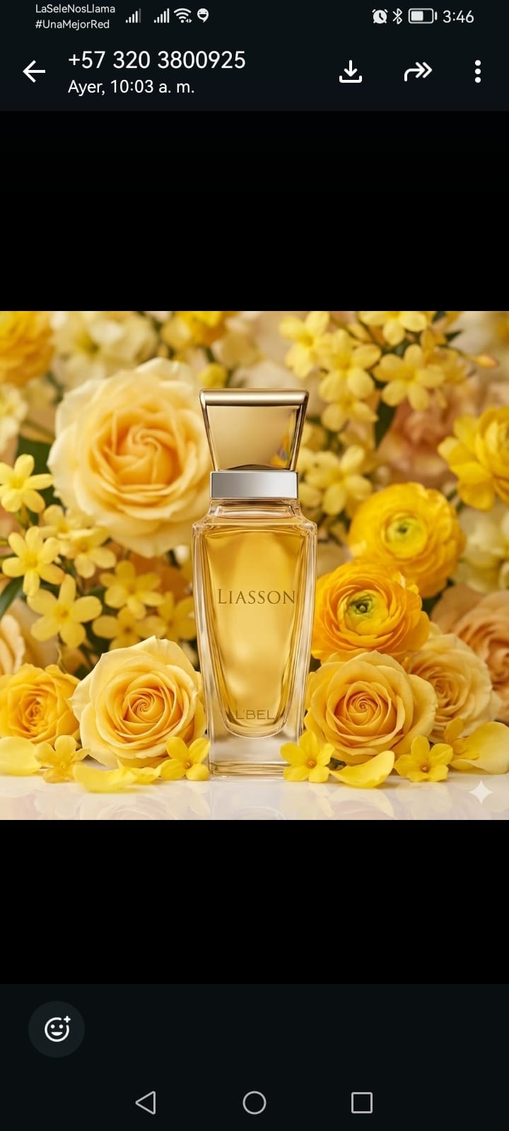 Perfume Liasson